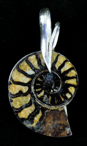 Moroccan Ammonite Fossil Pendant - Sterling Silver #21013